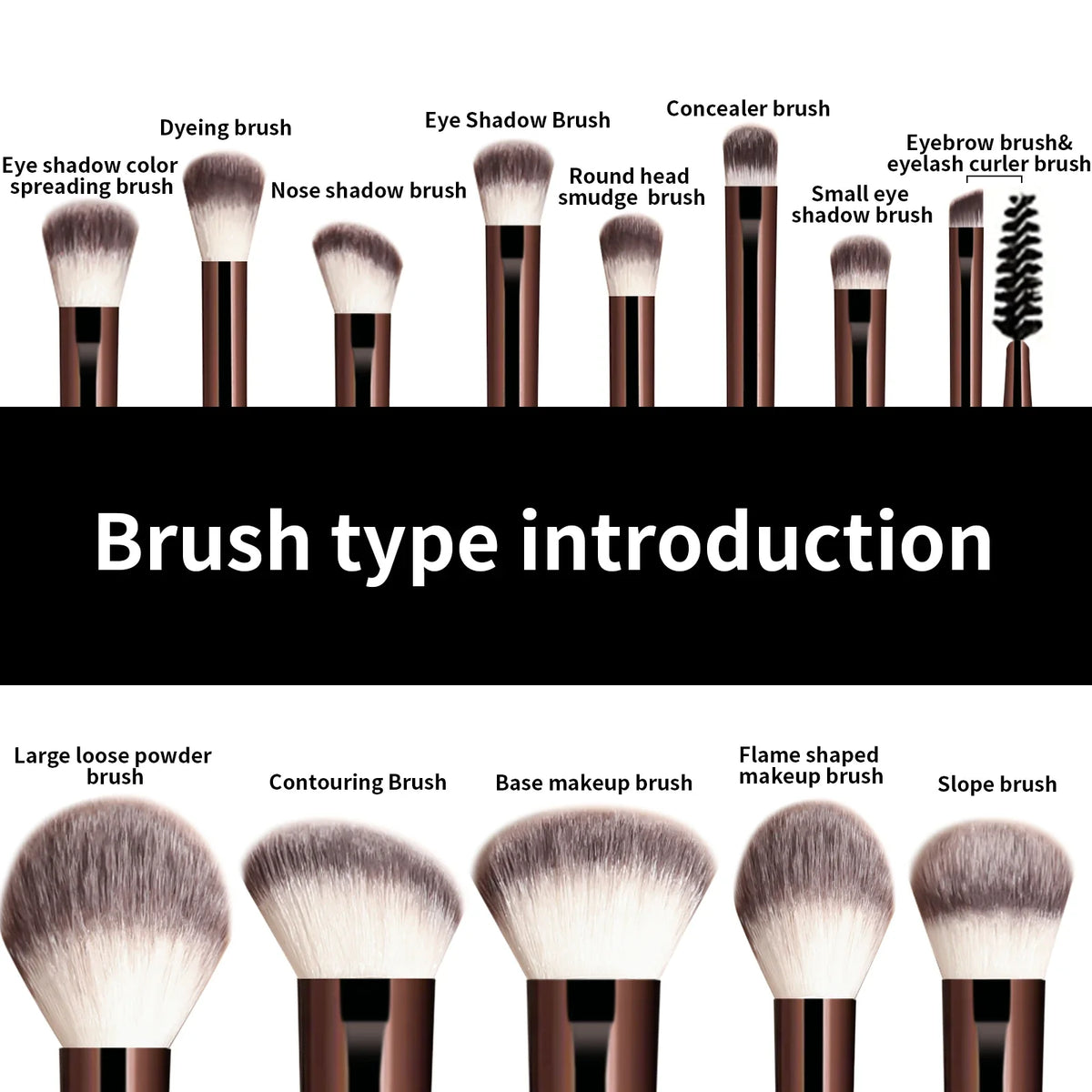 Set of makeup brushes with labels and a title 'Brush type introduction'.